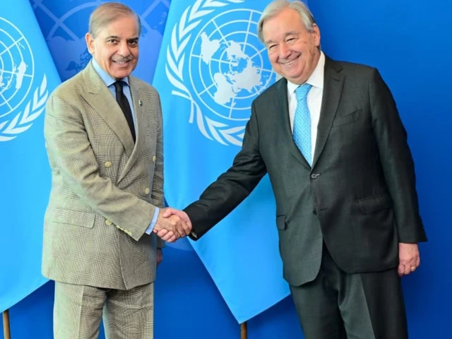 pm shehbaz sharif and un secretary general ant nio guterres meeting on the sidelines of 80th unga session photo pmo