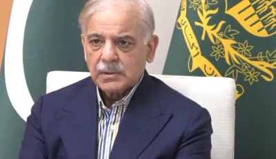 pm shehbaz chairs a meeting on austerity measures photo screengrab