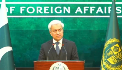 foreign office spokesperson tahir andrabi speaking at a press briefing today on thursday march 26 photo screengrab