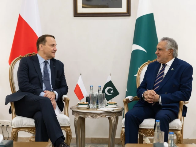 polish deputy prime minister sikorski and deputy prime minister ishaq dar photo x polish deputy prime minister sikorski and deputy prime minister ishaq dar photo x
