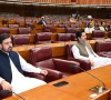 photo national assembly facebook photo national assembly facebook