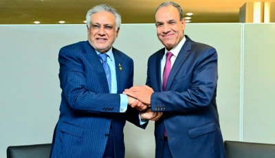 fm ishaq dar with eygptian fm badr abdelatty photo x