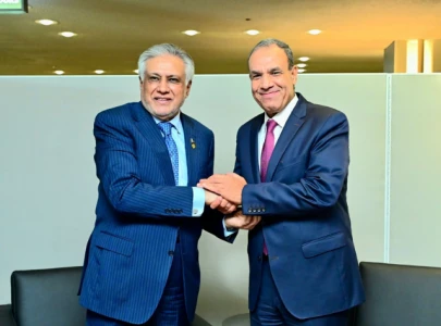 ishaq dar egyptian fm discuss regional developments in call