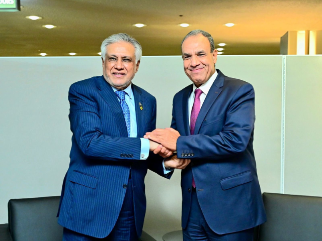FM Ishaq Dar with Eygptian FM Badr Abdelatty Photo: X