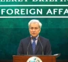 foreign office spokesperson tahir andrabi speaking at the fo weekly press briefing screengrab