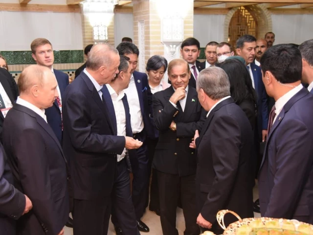 pm shehbaz sharif at the sco summit photo x