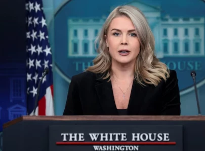 white house press secretary karoline leavitt defends trump calling reporter piggy cites his frankness and transparency