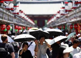 japan sees record heat raising fears for rice crops