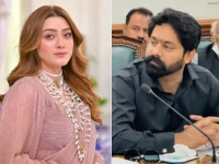 actor momina iqbal l pml n mpa saqib chadhar r