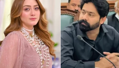 actor momina iqbal l pml n mpa saqib chadhar r