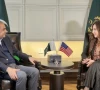 mohsin naqvi discusses terrorism bilateral ties with us envoy