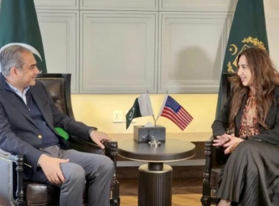 mohsin naqvi discusses terrorism bilateral ties with us envoy