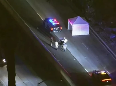 lapd freeway chase ends in suspect s death on 110 freeway in los angeles lapd freeway chase ends in suspect s death on 110 freeway in los angeles