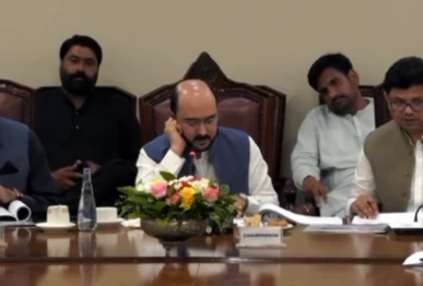 punjab forms parliamentary body to lead flood rehabilitation