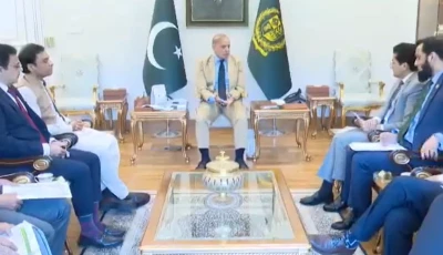 prime minister shehbaz sharif chairs a meeting with petroleum minister ali pervaiz malik and other officials in islamabad directing the minister to travel to karachi and hold talks with oil refineries to secure relief on fuel prices screengrab
