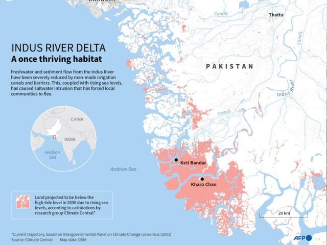 Indus River Delta Nicholas SHEARMAN / AFP