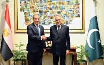 egyptian fm meets dar for talks on regional bilateral issues