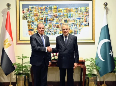 pakistan egypt agree on 250 business initiative to strengthen commercial ties