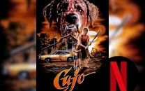 netflix to adapt stephen king s cujo into new feature film netflix to adapt stephen king s cujo into new feature film