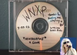 hayley williams debuts new solo track on nashville radio