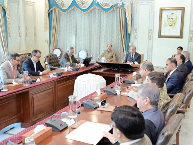 PM told three power distribution companies to be privatised in first phase