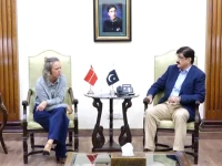 sindh chief minister murad ali shah met denmark s ambassador maja dyris mortensen in karachi screengrab