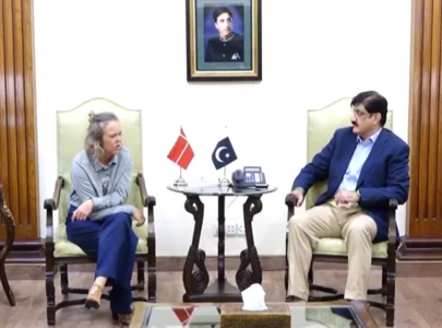 sindh cm danish envoy discuss investment renewable energy
