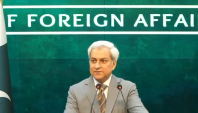 foreign office spokesperson tahir andrabi speaking at the foreign office s weekly press briefing screengrab