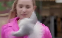 seagull smashes into reporter s face during outdoor segment in new zealand seagull smashes into reporter s face during outdoor segment in new zealand