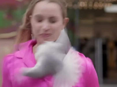 seagull smashes into reporter s face during outdoor segment in new zealand