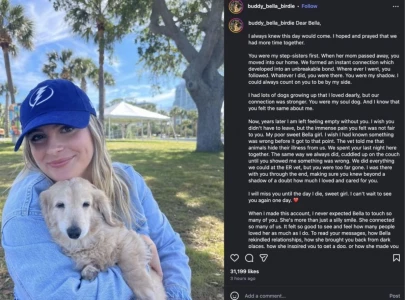 viral instagram dog bella dies after sudden medical emergency
