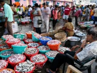 seafood exporters who have been told by some us buyers to hold shipments are hoping for new customers photo afp file
