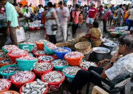 china tariffs pave way for high seafood exports to us china tariffs pave way for high seafood exports to us