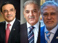 president asif ali zardari prime minister shehbaz sharif deputy prime minister and foreign minister ishaq dar