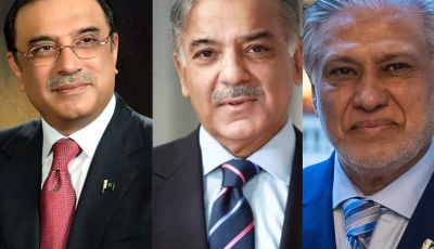 president asif ali zardari prime minister shehbaz sharif deputy prime minister and foreign minister ishaq dar