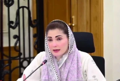 punjab chief minister maryam nawaz screengrab
