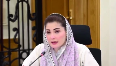 punjab chief minister maryam nawaz screengrab