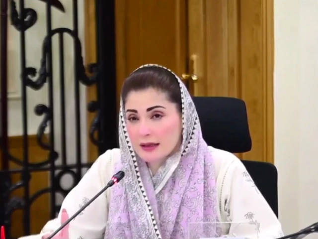 punjab chief minister maryam nawaz reviewing secuirty arrangements ahead of muharram screengrab punjab chief minister maryam nawaz reviewing secuirty arrangements ahead of muharram screengrab