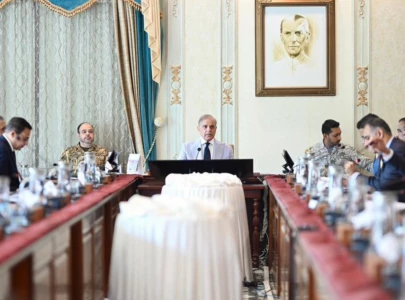 pm shehbaz vows to turn pakistan into economic power cites nuclear journey as example