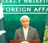 foreign office spokesperson tahir andrabi speaking at the fo weekly press briefing screengrab