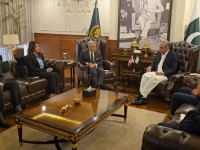 meeting in islamabad between interior minister mohsin naqvi and us deputy assistant secretary of state for south and central asian affairs paul kapur screengrab