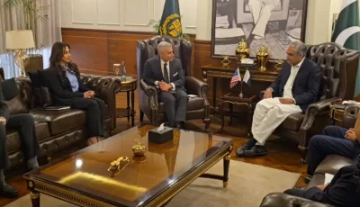 meeting in islamabad between interior minister mohsin naqvi and us deputy assistant secretary of state for south and central asian affairs paul kapur screengrab