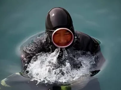 haenyeo divers reveal dna secrets of endurance and low blood pressure study haenyeo divers reveal dna secrets of endurance and low blood pressure study