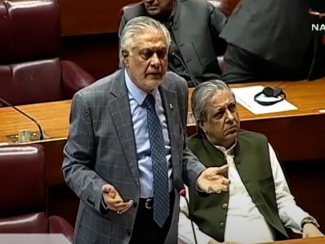 deputy prime minister ishaq dar addressing the national assembly photo express