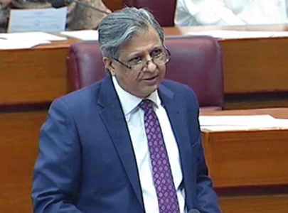 govt pursuing efforts for release of 10 pakistani hostages in somalia tarar tells na govt pursuing efforts for release of 10 pakistani hostages in somalia tarar tells na