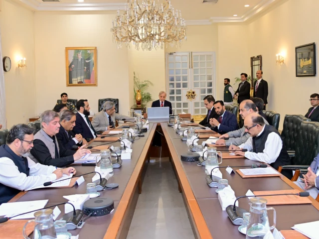 PM Shehbaz sets three-month deadline for PIMS safety overhaul