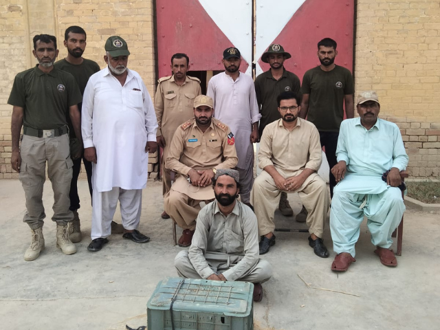 Confiscated hunting equipment and suspects presented at Border Military Police Station, Rajanpur. Photo: Express