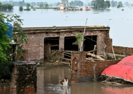 pakistan engineering council begins work on flood action plans pakistan engineering council begins work on flood action plans