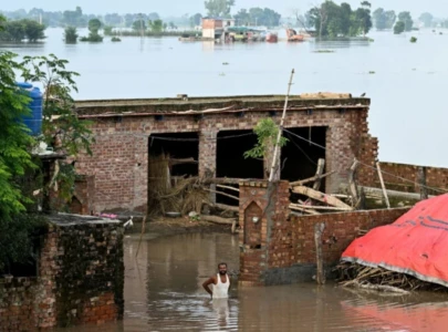 pakistan engineering council begins work on flood action plans