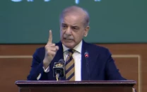 pakistan pushes for permanent peace in us iran conflict pm